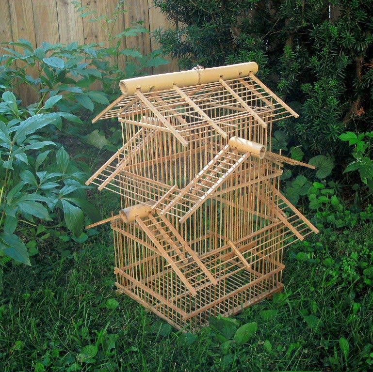Bamboo Bird Cage Kit