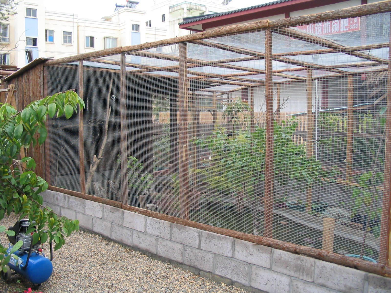 bird-aviary-building-plans-birdcage-design-ideas