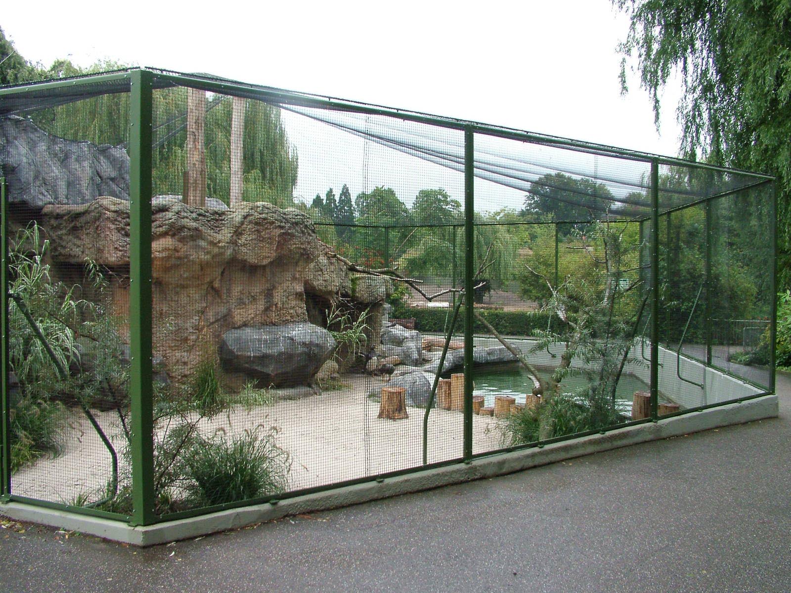 Bird Aviary Plans Free