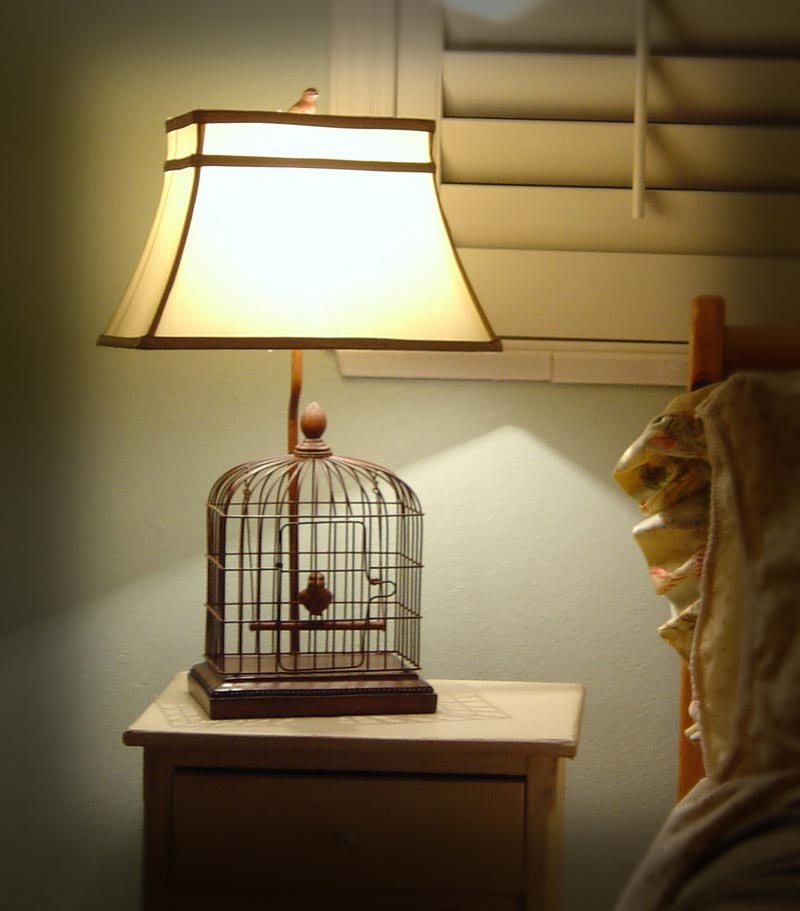 Bird Cage Lamp DIY