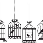 Bird Cage Line Drawing