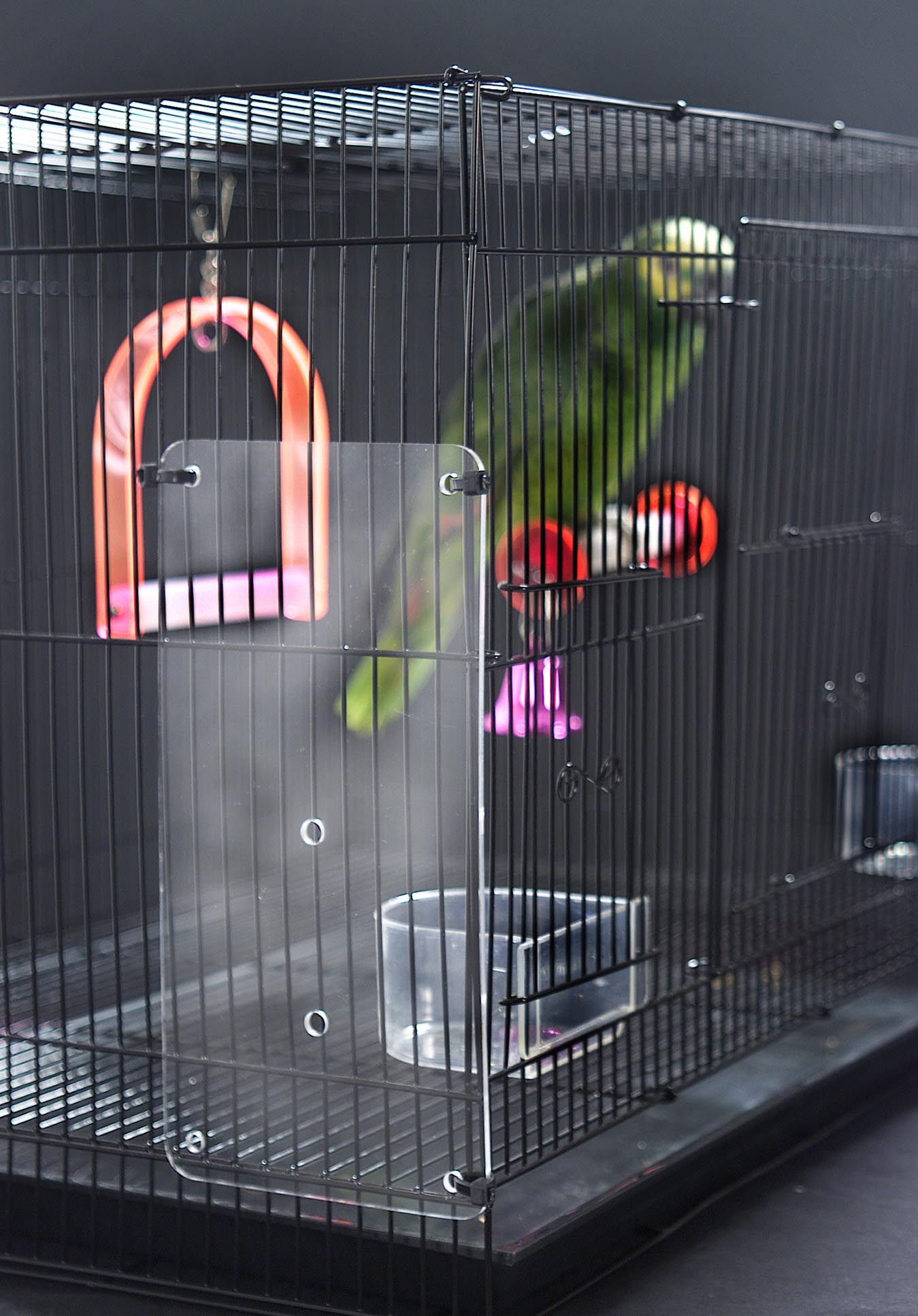 Bird Cage Seed Guard Acrylic