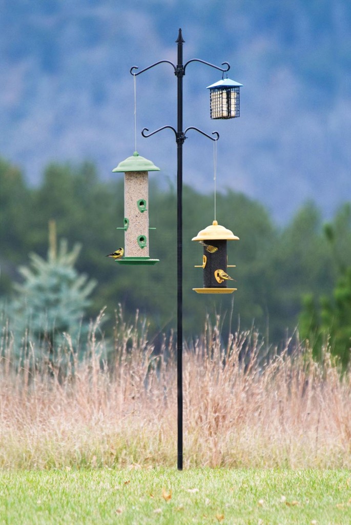 Types Of Bird Feeder Hangers 