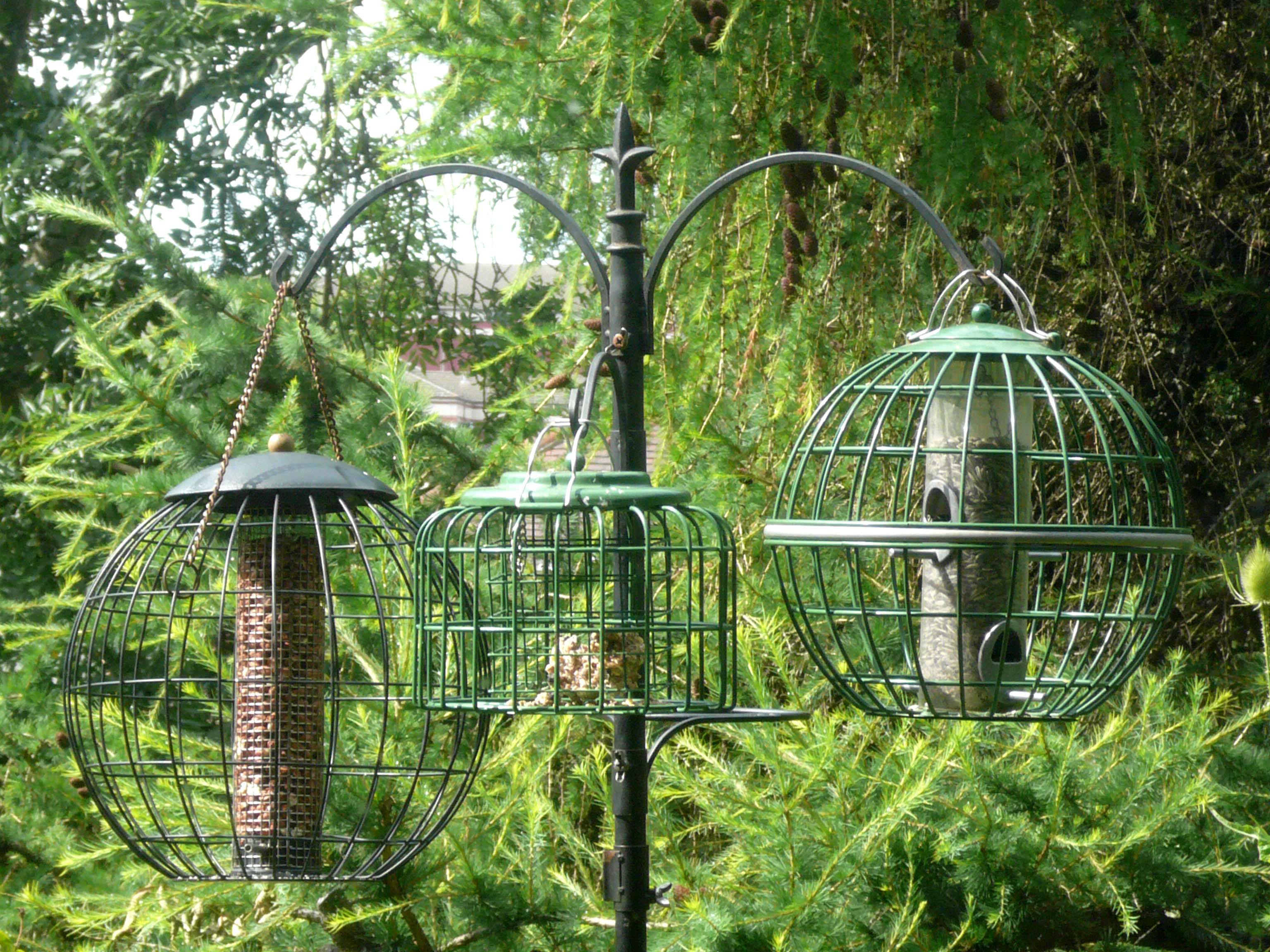bird feeder stand