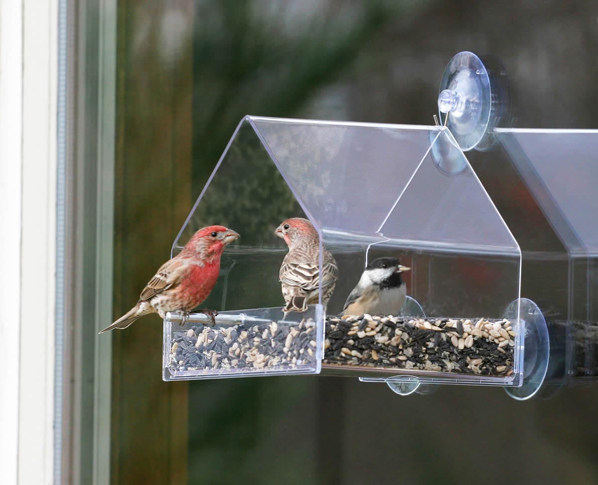 Bird Feeder Window Hanger
