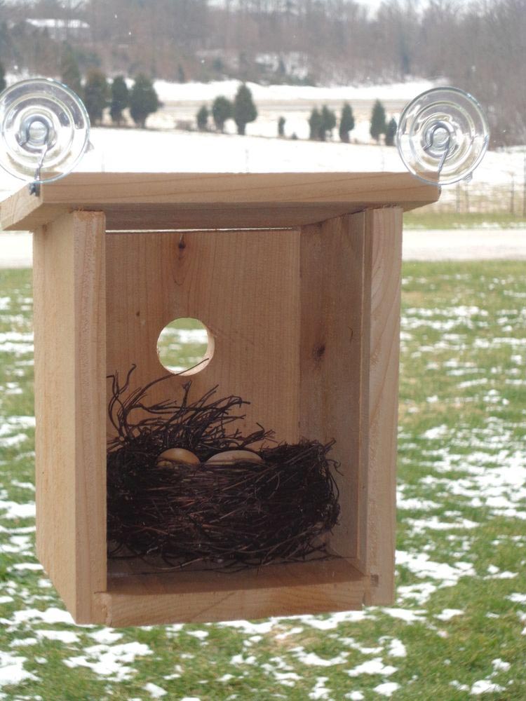 Bird House Glass Window