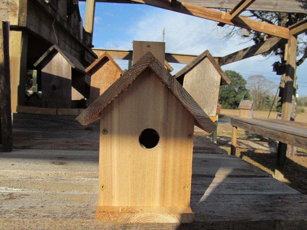 Bird Houses for Carolina Wrens