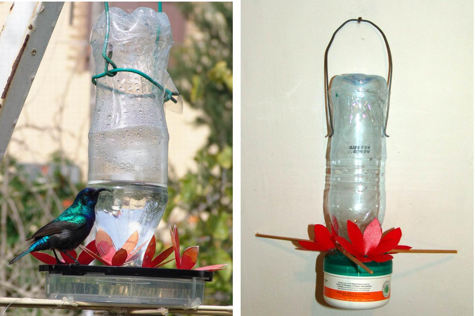 Bird Water Feeder DIY