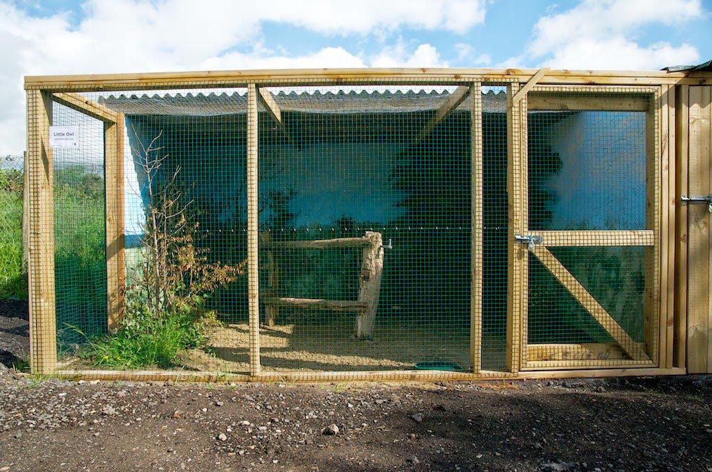 Outdoor Bird Aviary Give some Freedom to the Feathered Friends