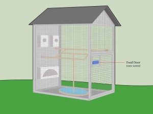 Building a Bird Aviary Plans