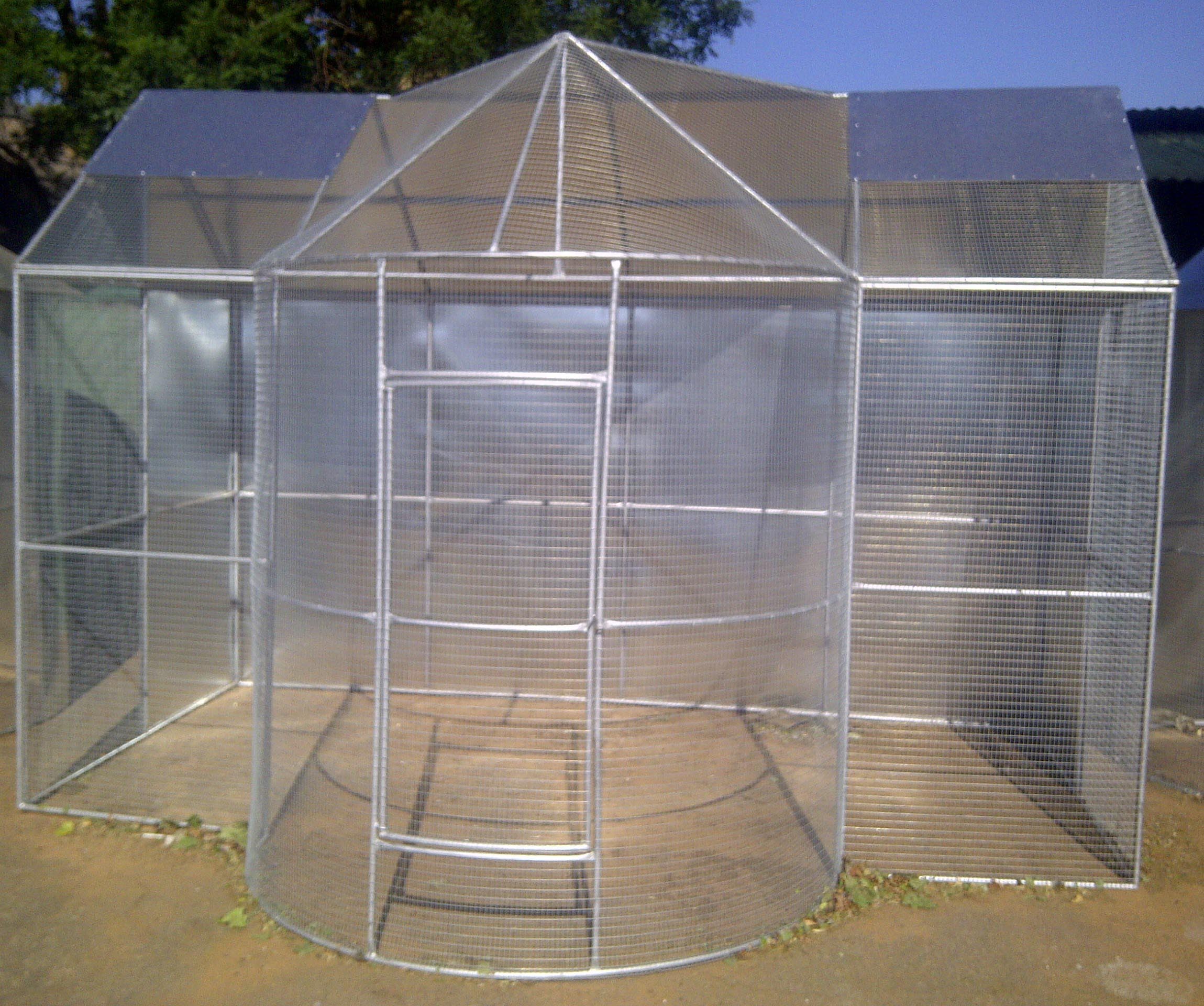 building-an-outdoor-aviary-for-birds