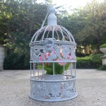 Decorative Antique Bird Cages