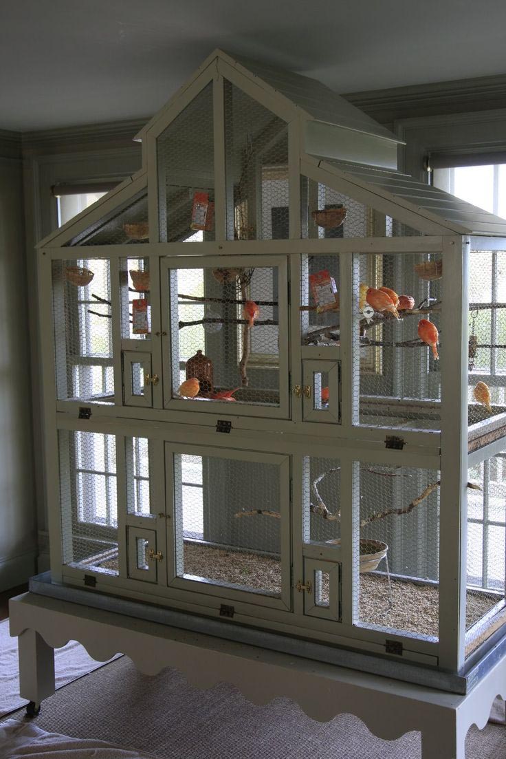 DIY Bird Cage Seed Guard Birdcage Design Ideas