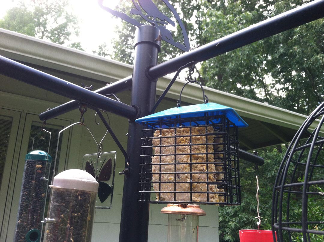 homemade bird feeder pole