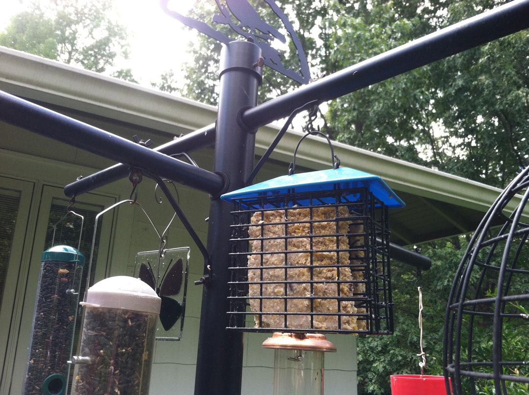 DIY Bird Feeder Pole