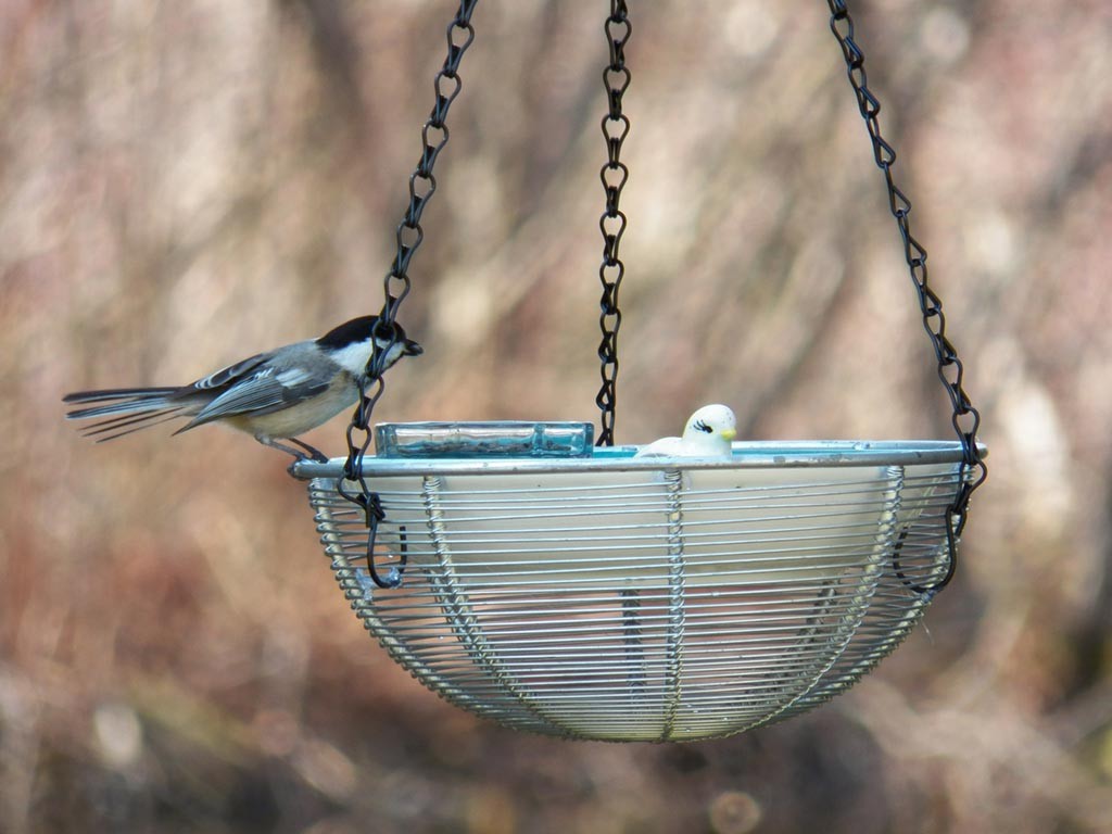DIY Hanging Bird Bath