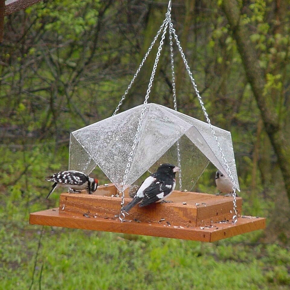 diy bird feeder rain guard