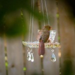 DIY Teacup Bird Feeders