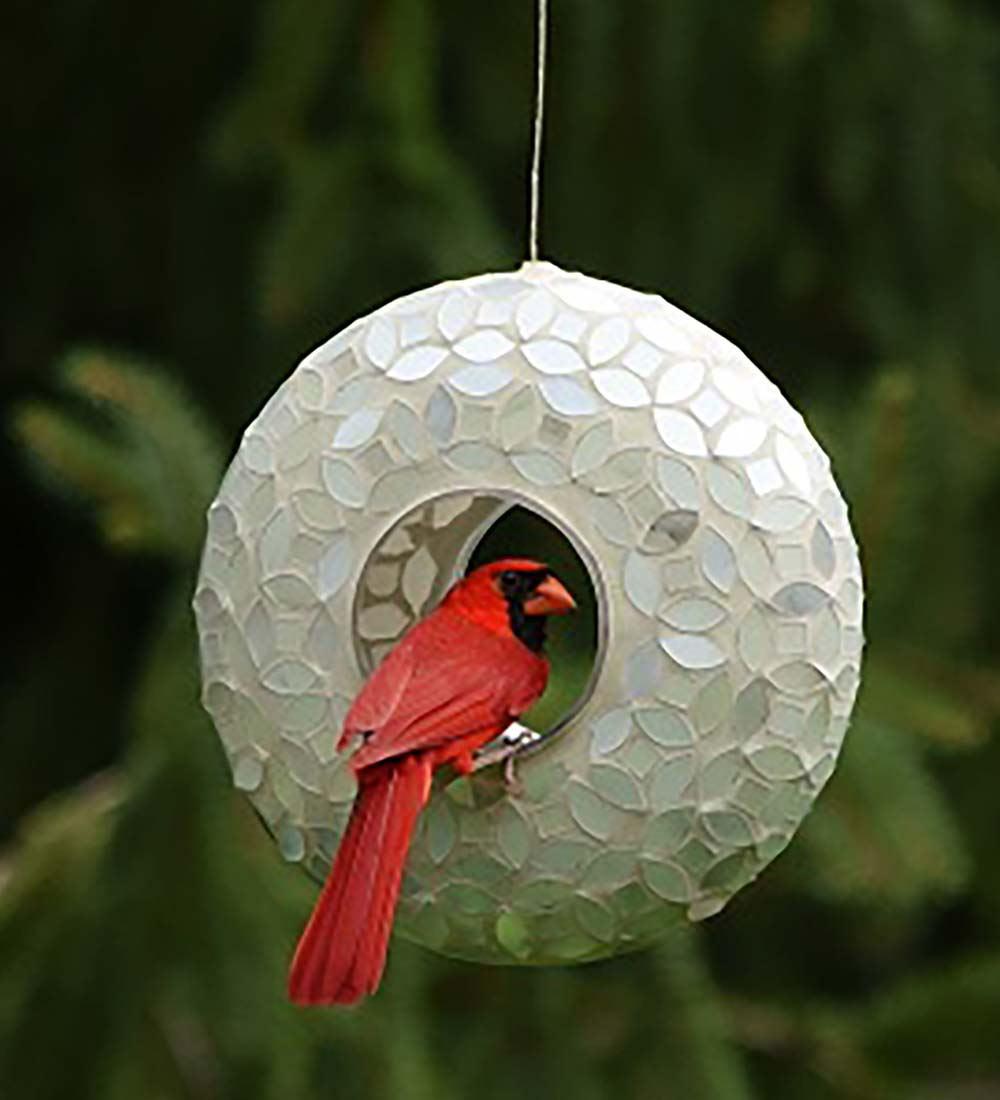 Glass Globe Bird Feeder