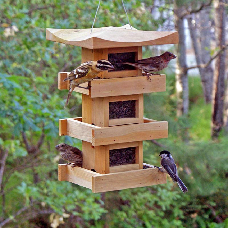 Hanging Bird Feeder Plans