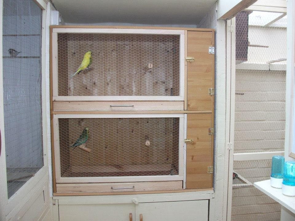Homemade Bird Aviaries and Flight Cages