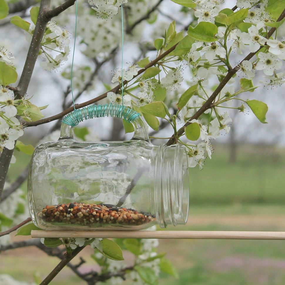 Homemade Bird Food for Winter