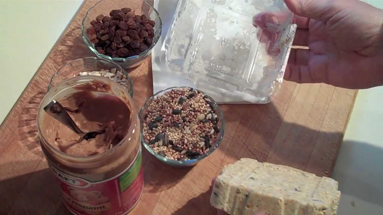 Homemade Bird Food Ingredients