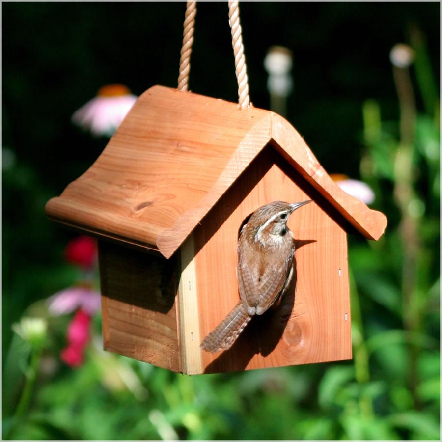 Homemade Bird Houses Plans