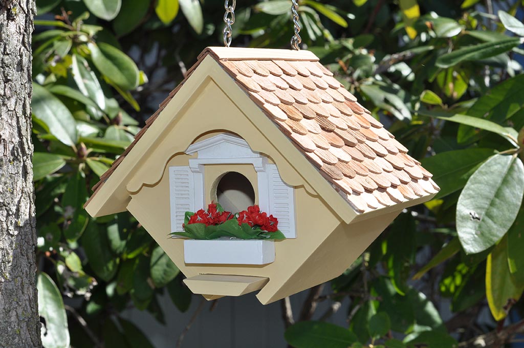 House Wren Bird House