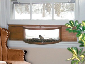 in House Window Bird-Feeder