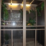 Indoor Bird Aviary Designs
