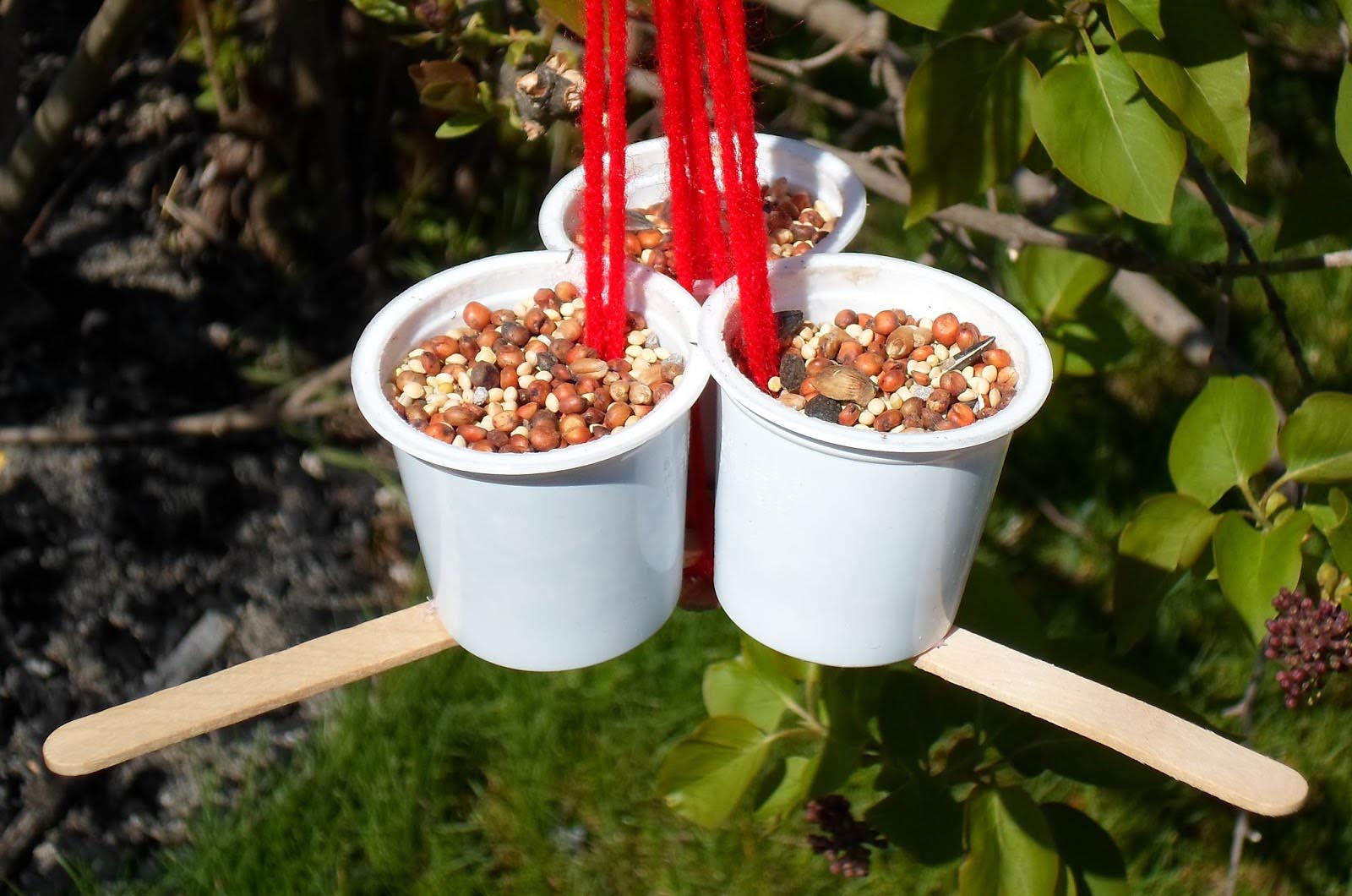 Kid Craft Bird Feeder