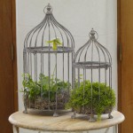 Metal Decorative Bird Cages