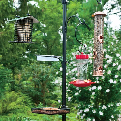 Multi Bird Feeder Station