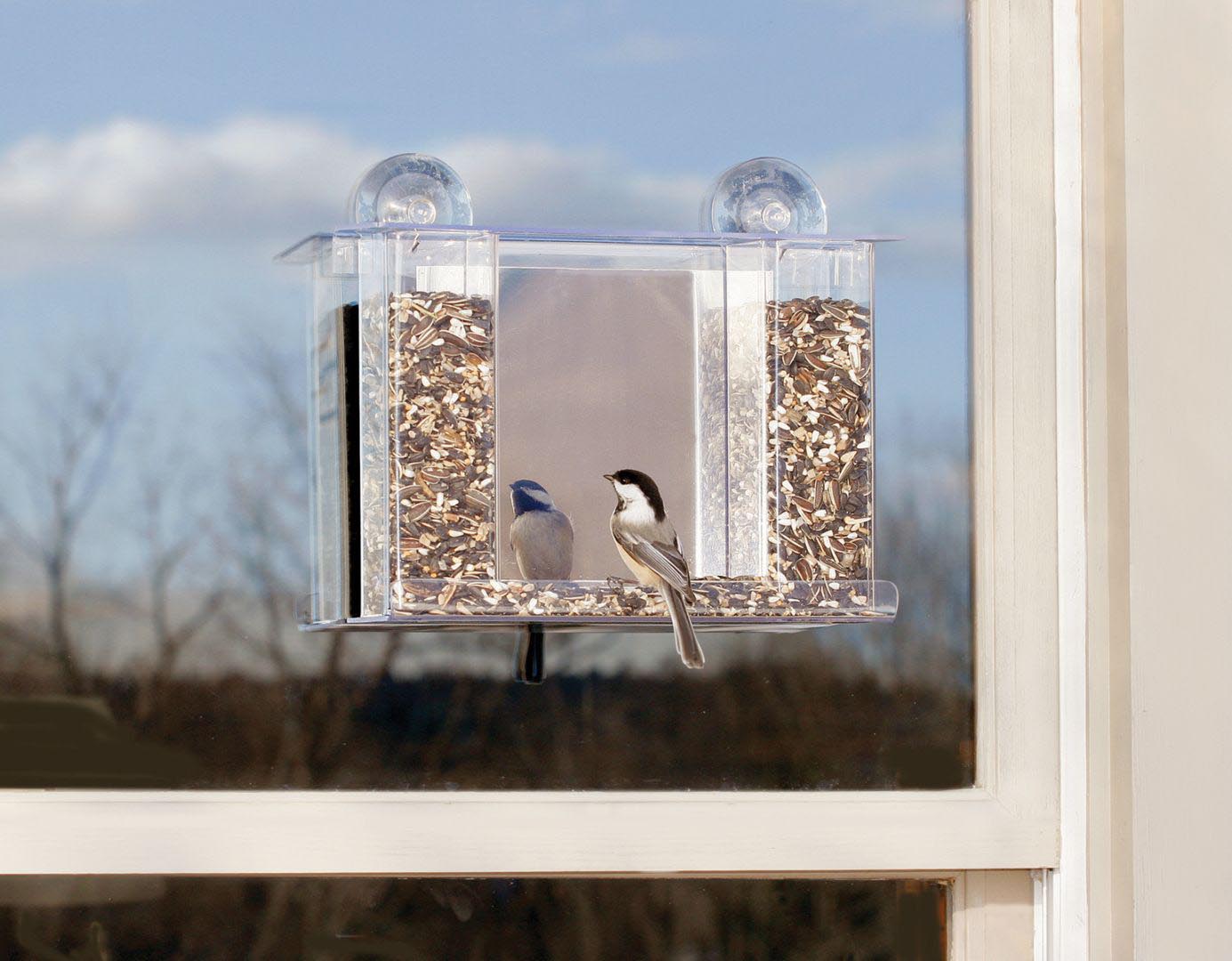 One Way Glass Bird Feeder