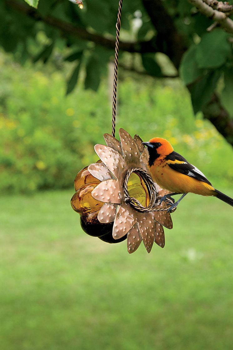 Oriole Bird Feeder Reviews