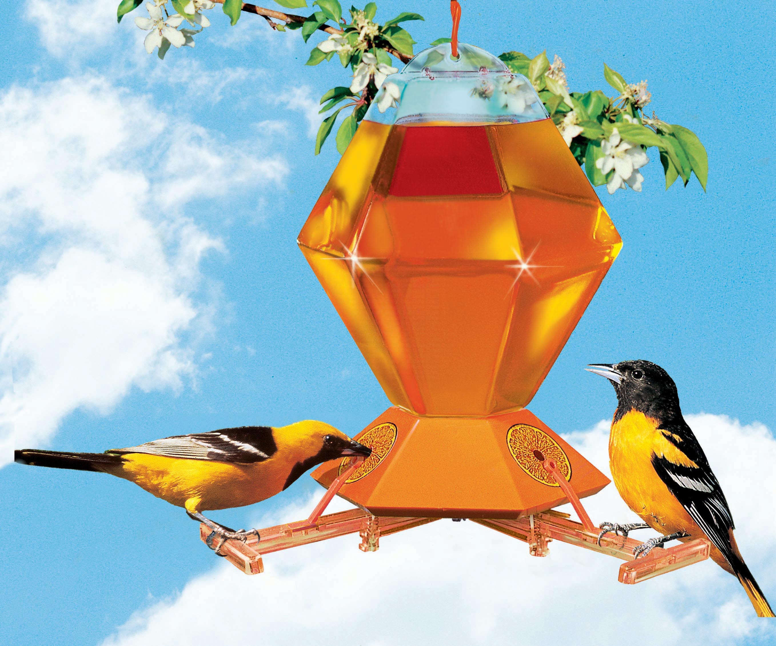 Oriole Bird Feeder with Bee Guard