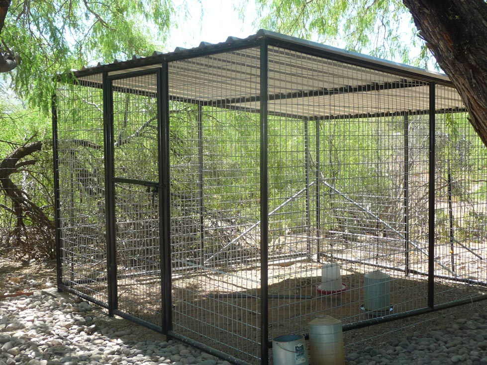 Outdoor Bird Aviaries Perth