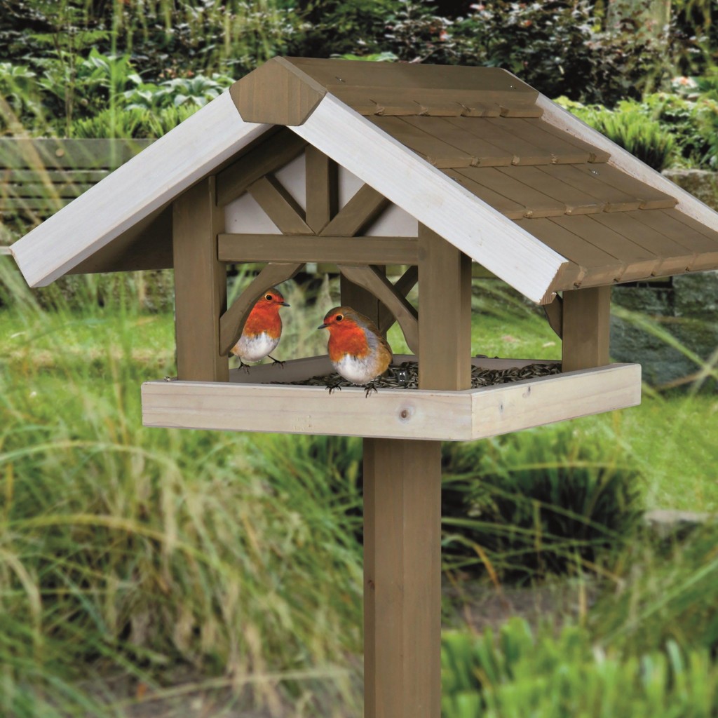 related-post-from-what-to-consider-in-a-bird-feeder-stand