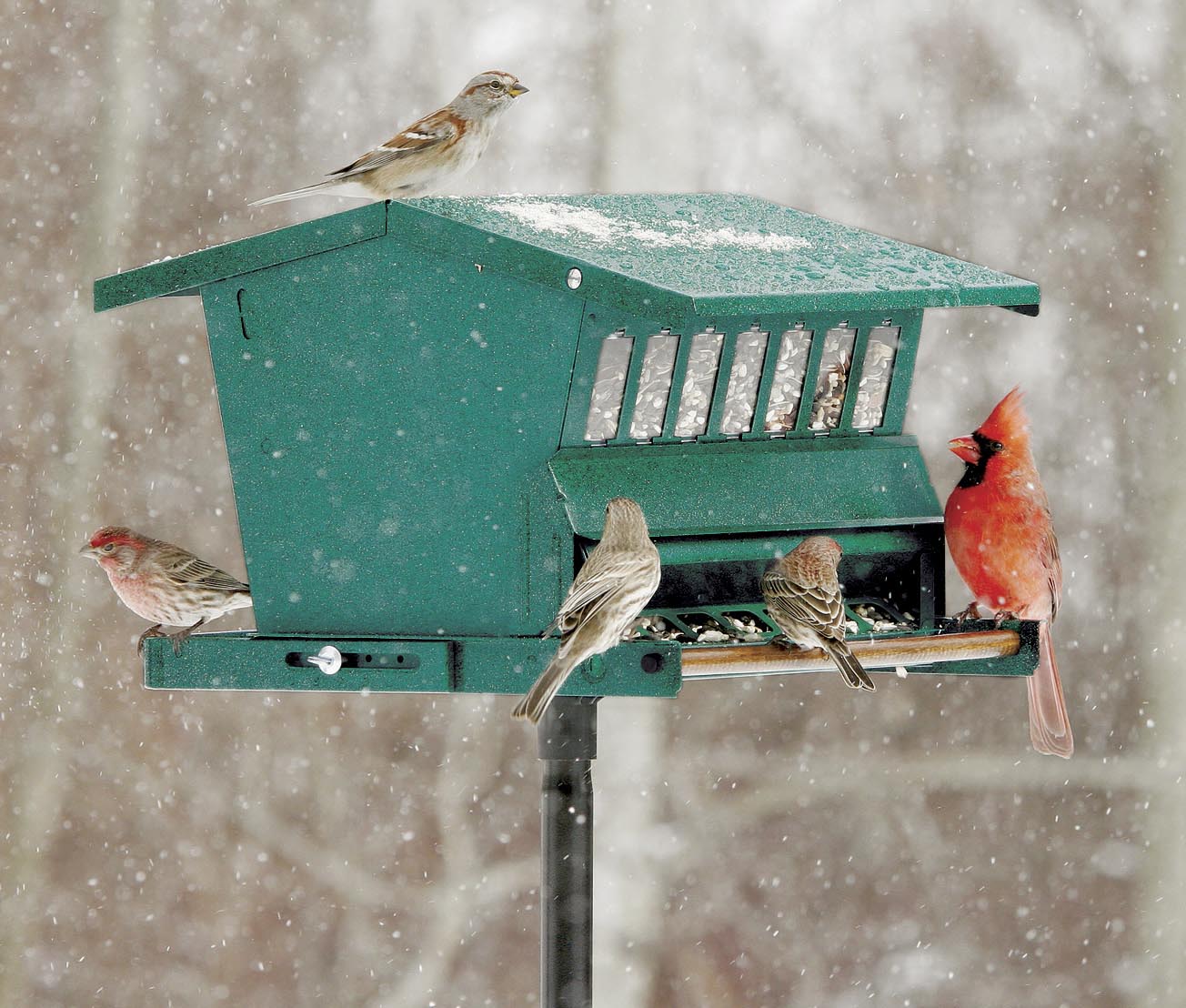 Pole Hangers for Bird Feeders