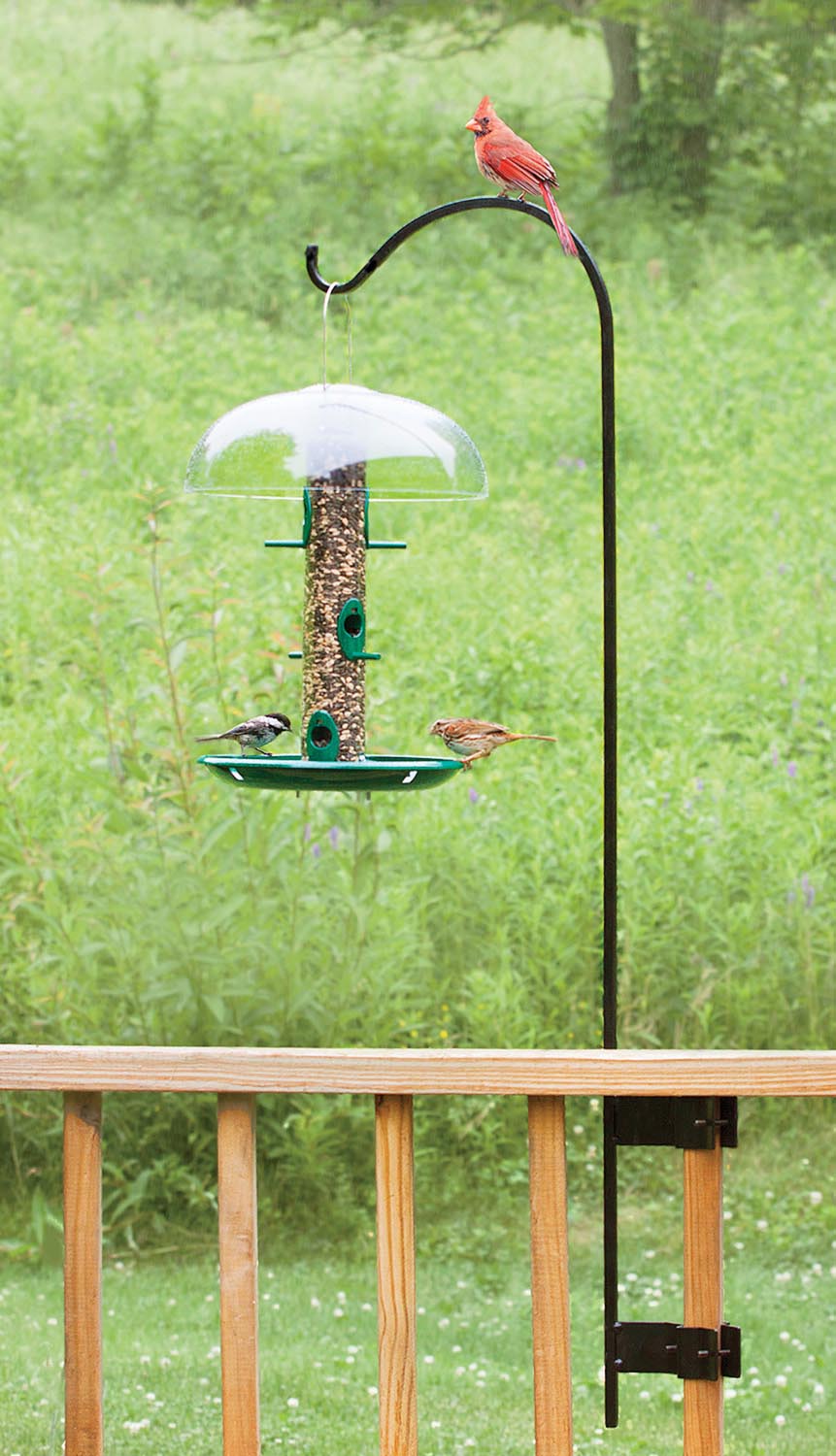 window bird feeder hanger