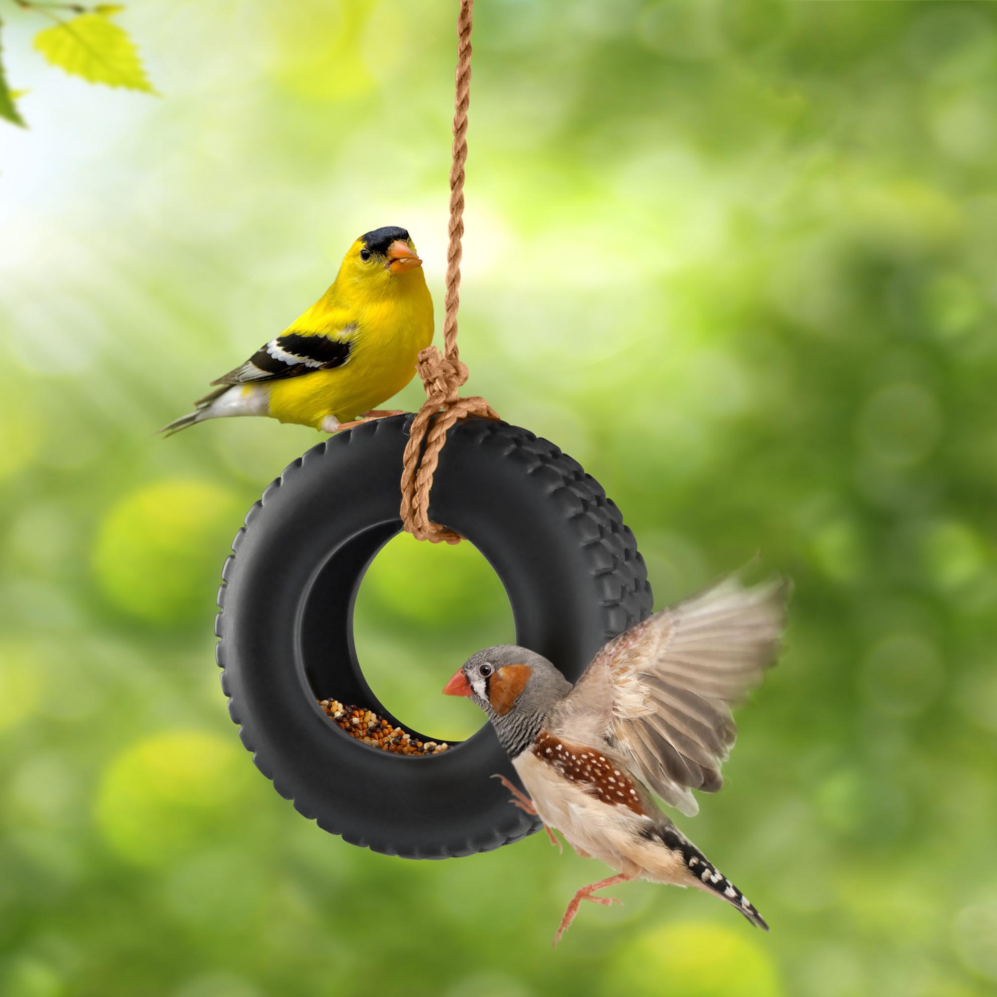 Swinging Bird Feeder Hangers