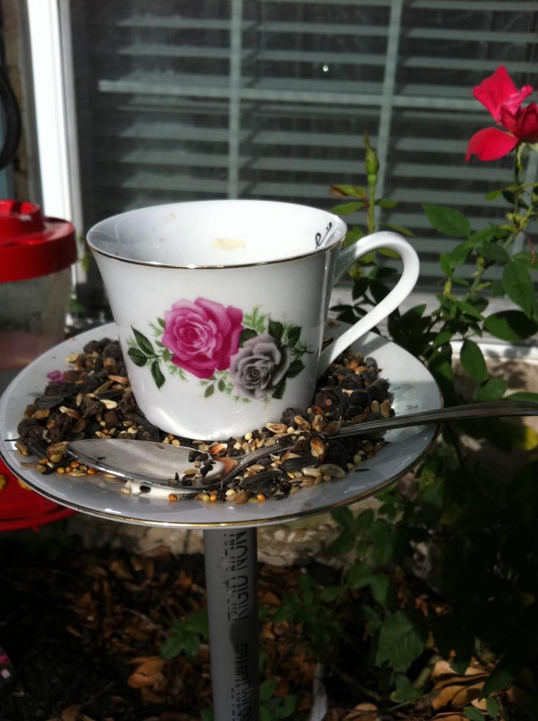 Teacup Bird Feeders Craft