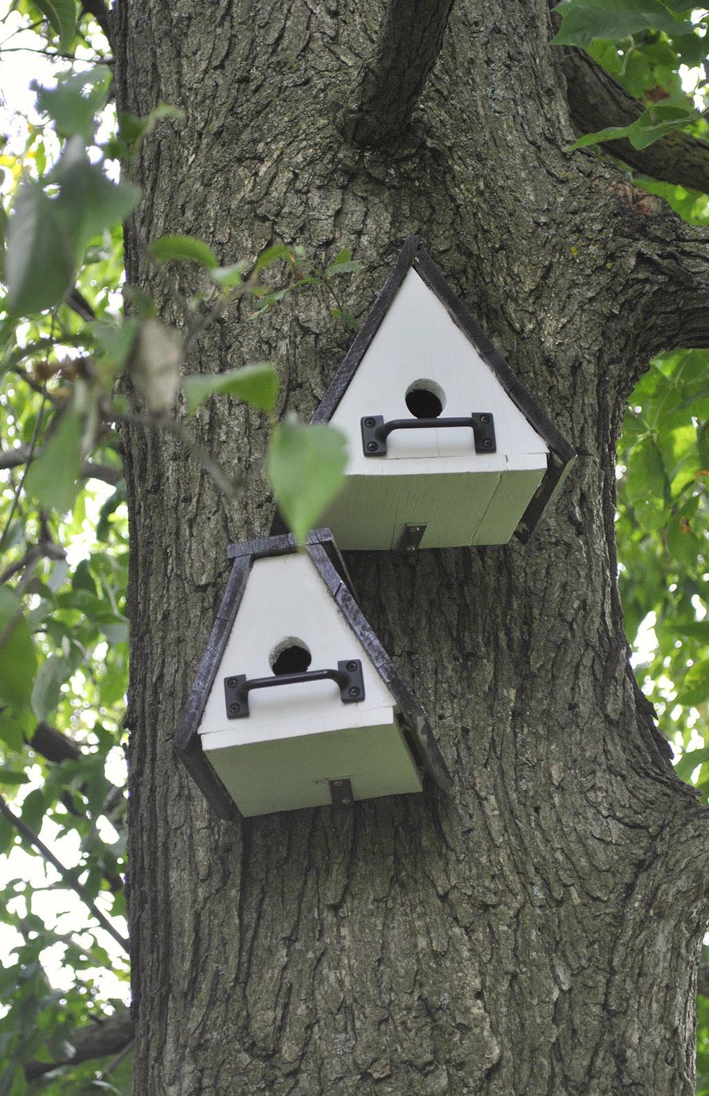 Unique Bird House Plans