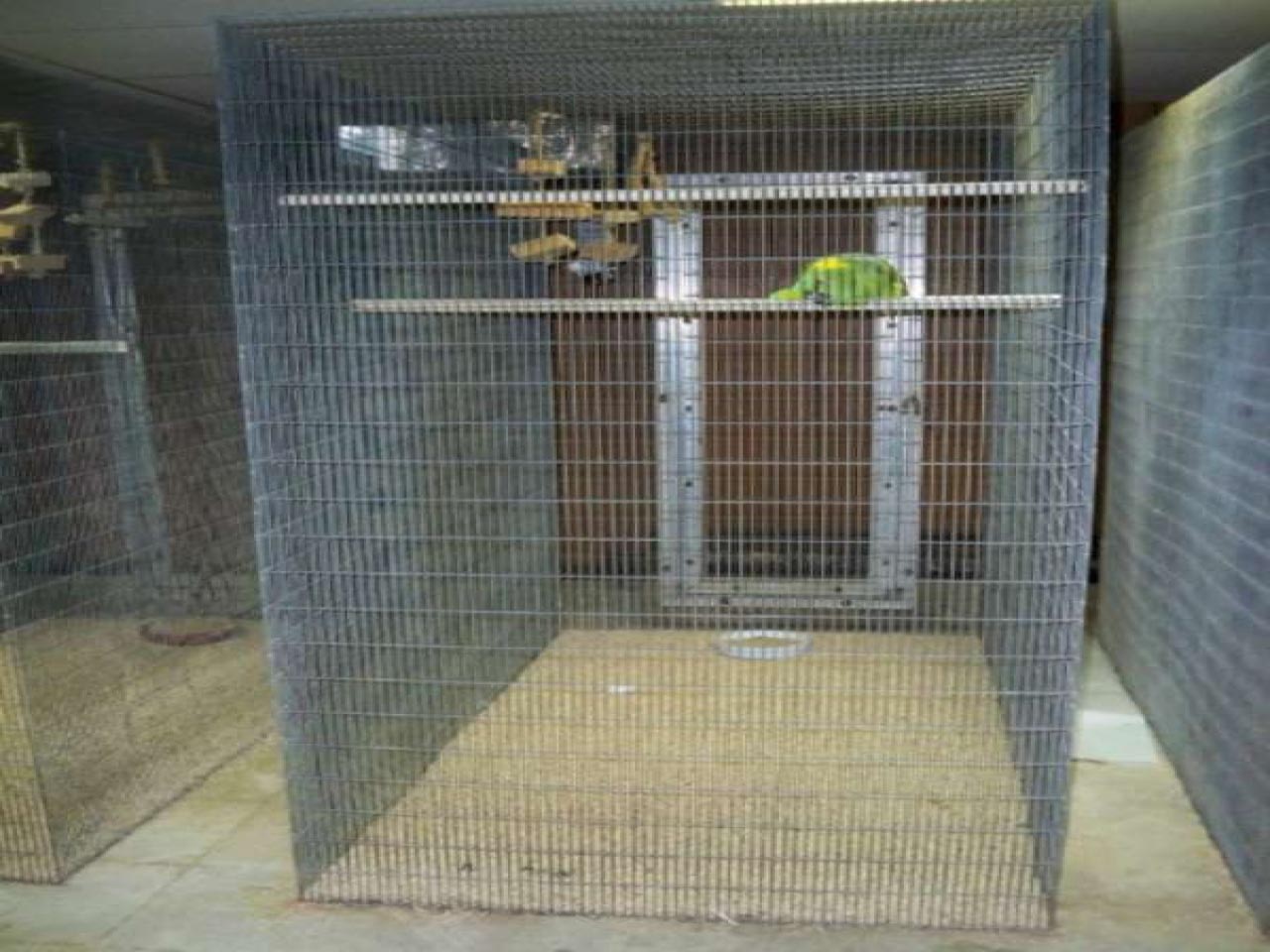 Walk in Bird Aviary Cage Large