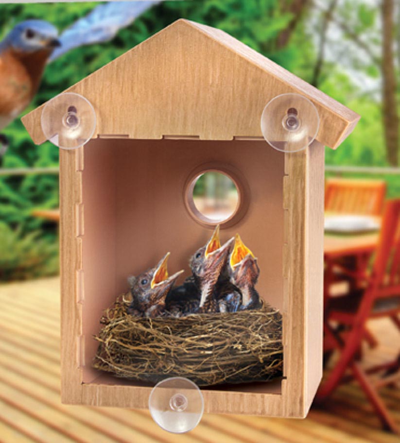 Window Bird House with Two Way Mirror