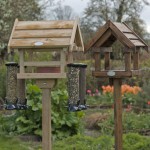 Wooden Bird Feeder Station