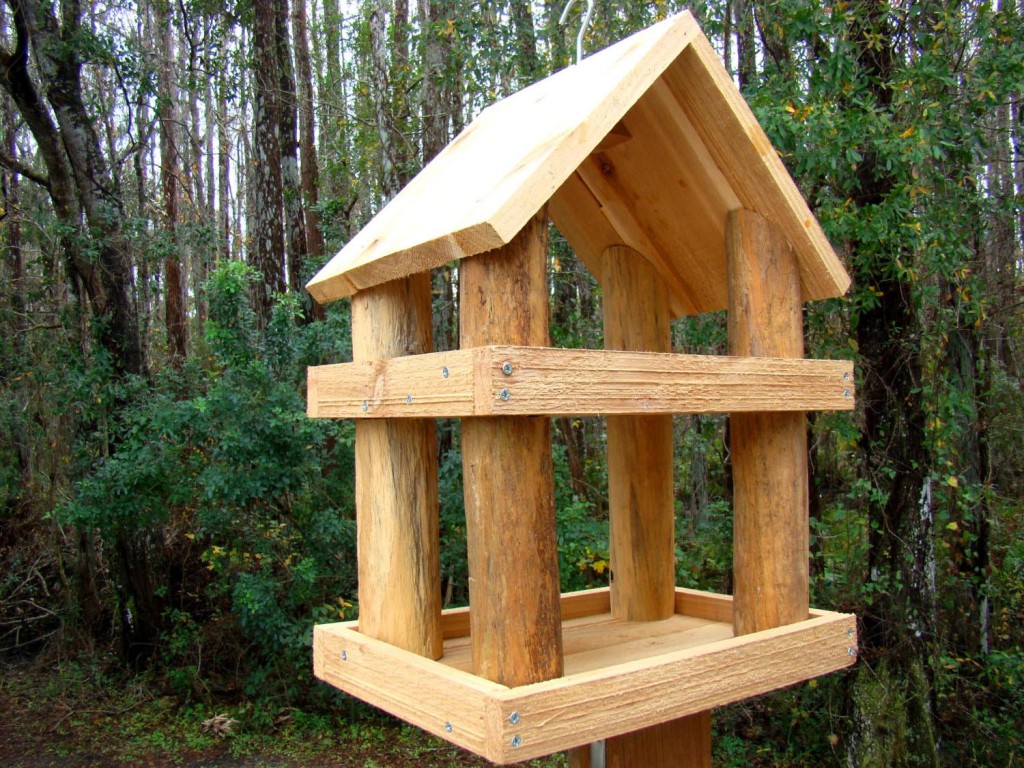 Wooden Bird Feeders Kits