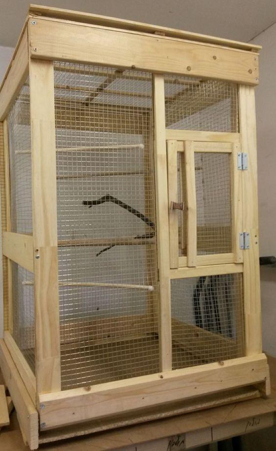 wooden-indoor-bird-aviary