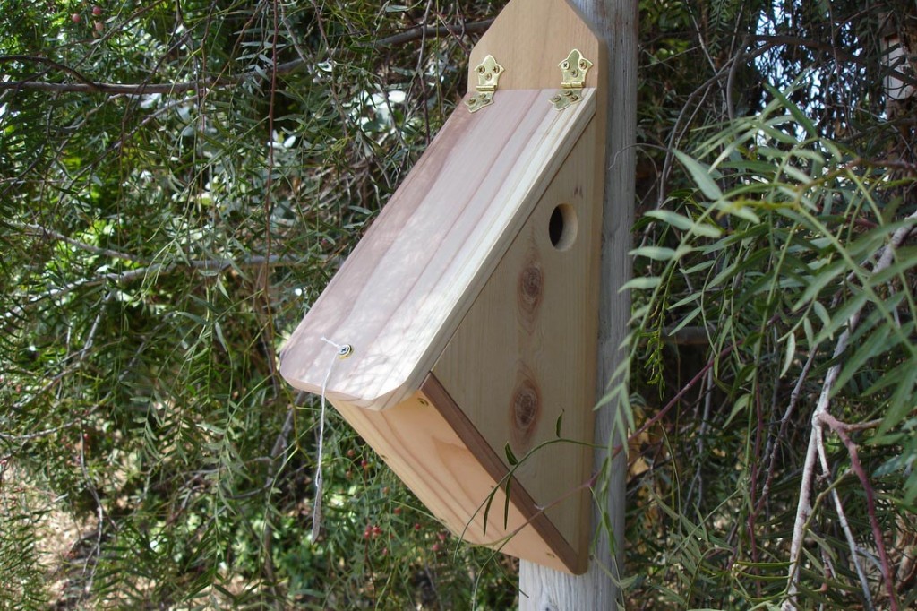 Bird House Plans For Finches | Birdcage Design Ideas